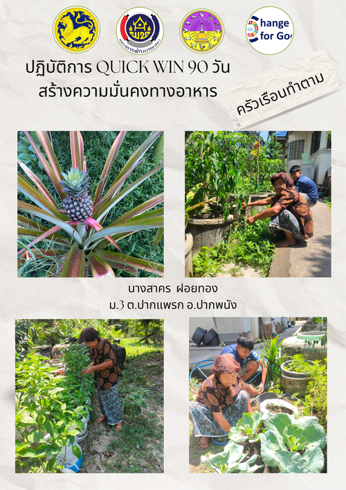พช. ปากพนัง  ขับเคลื่อนกิจกรรม ปฏิบัติการ "Quick Win" 90 วัน ปลูกผักสวนครัว เพื่อสร้างความมั่นคงทางอาหาร สู้ภัยวิกฤต ด้วยวิถีพอเพียง